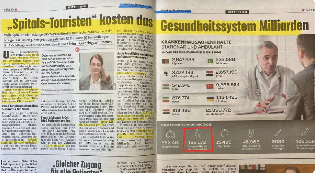 Spitals-Touristen in der Krone: Wenn aus Zahlen Hetze wird