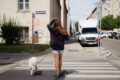 Ioanna und ihr Hund Sweeney beim Spazierengehen in Wien. Die beiden gehen in einer Häusersiedlung an einem sonnigen Tag über den Zebrastreifen. Sie gehen von der Kamera weg und sind nicht erkennbar