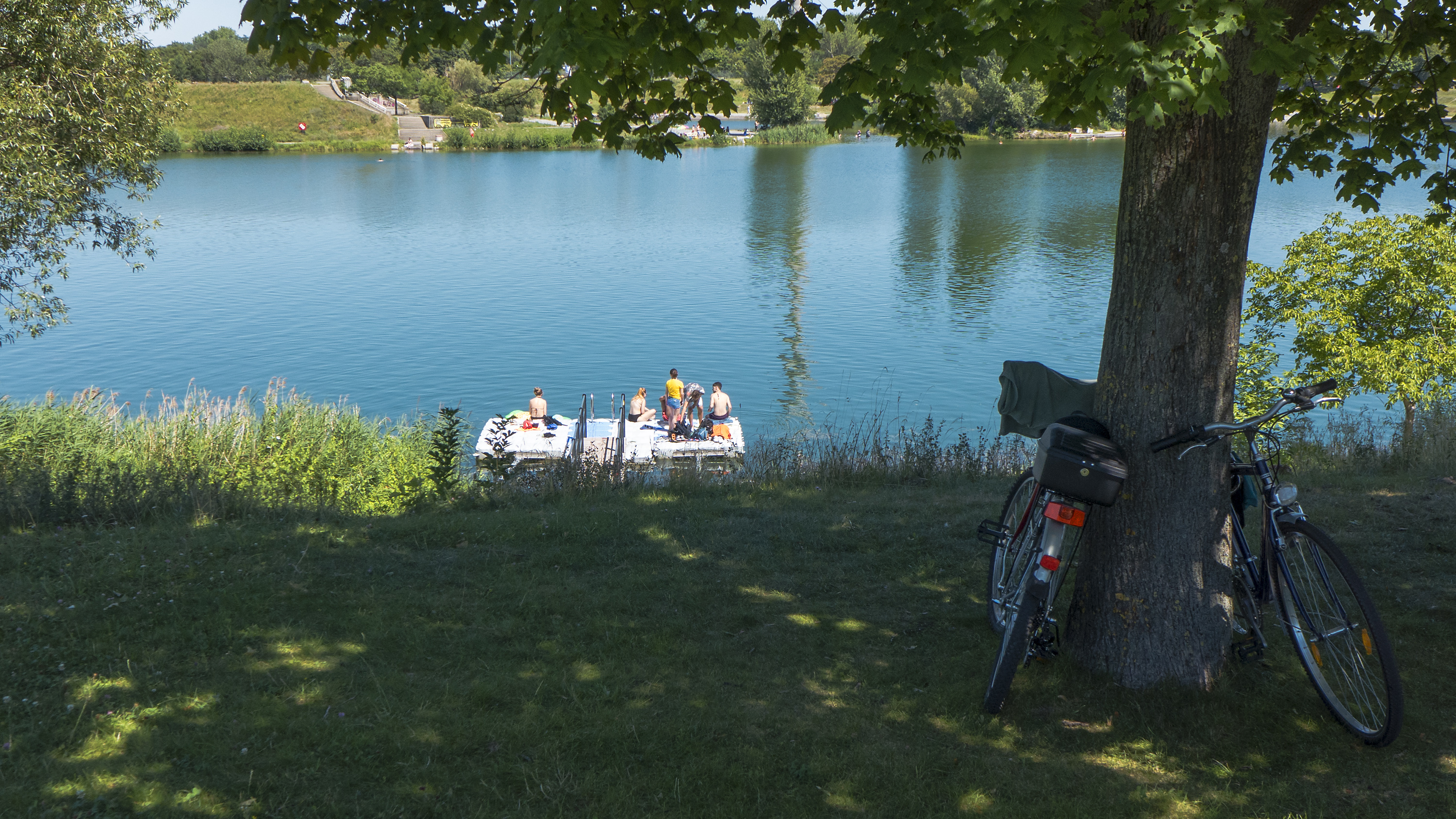 Sicherer FLINTA*-Badebereich auf der Donauinsel – kann das funktionieren?