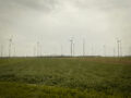 Windpark mit zahlreichen Windkraftanlagen in einer flachen Feldlandschaft. Die Windräder stehen verteilt über den Horizont unter einem leicht bewölkten Himmel.
