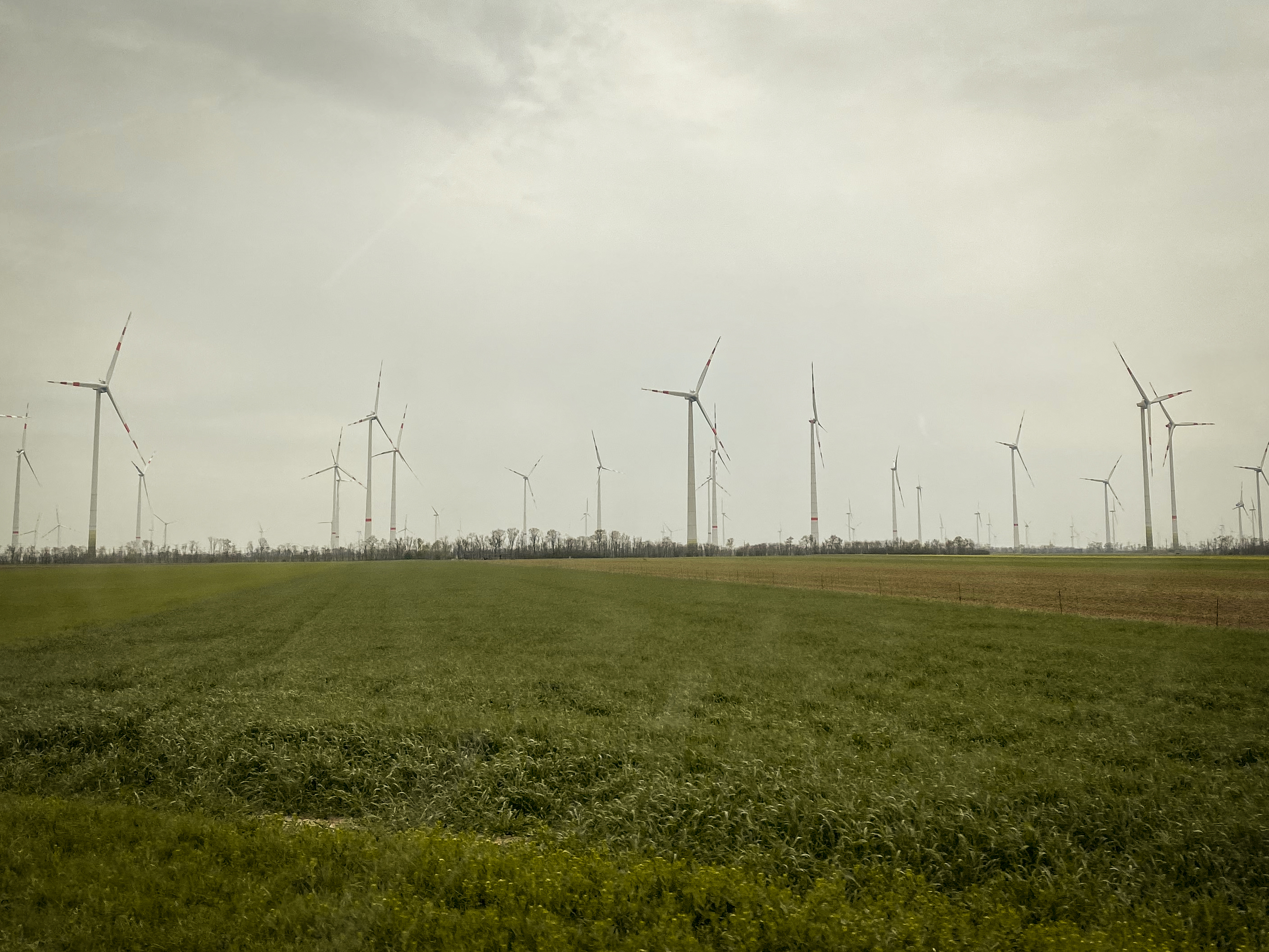 Windräder: Mythen und Fakten zum Leben in der Nähe von Windrädern