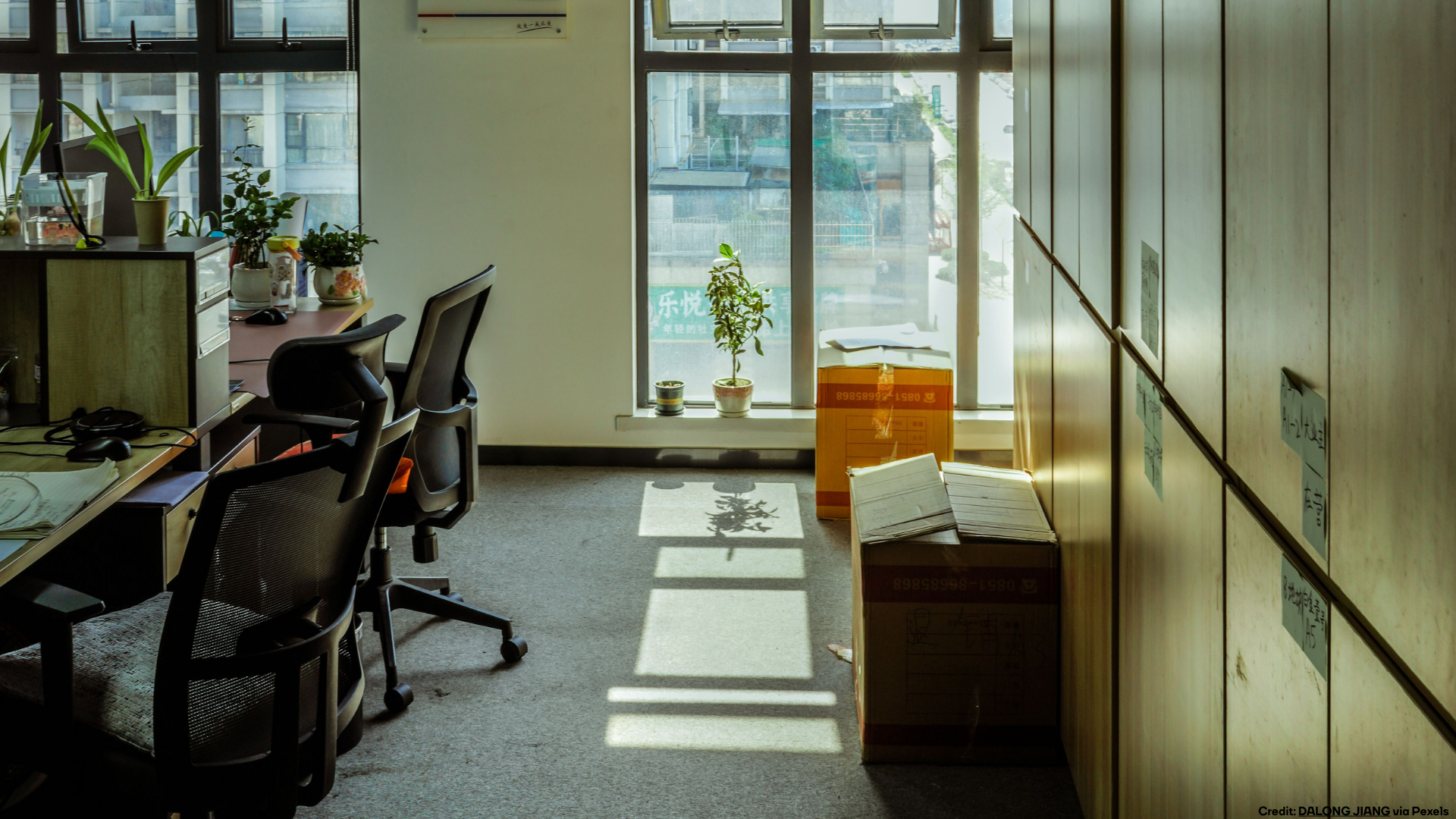Wie Unternehmen Mitarbeiter:innen bei häuslicher Gewalt schützen können